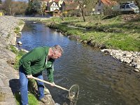 Zarybňování Litavky (23)